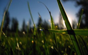 信息传递对比评测：轻量级与重度应用的区别